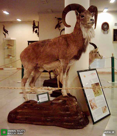  موزه تاریخ طبیعی ,گردشگری ایران