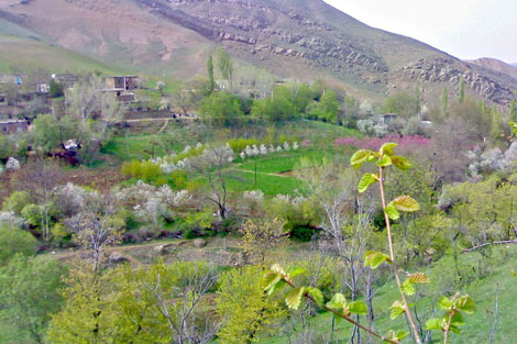  روستای شوکورلو ,گردشگری ایران